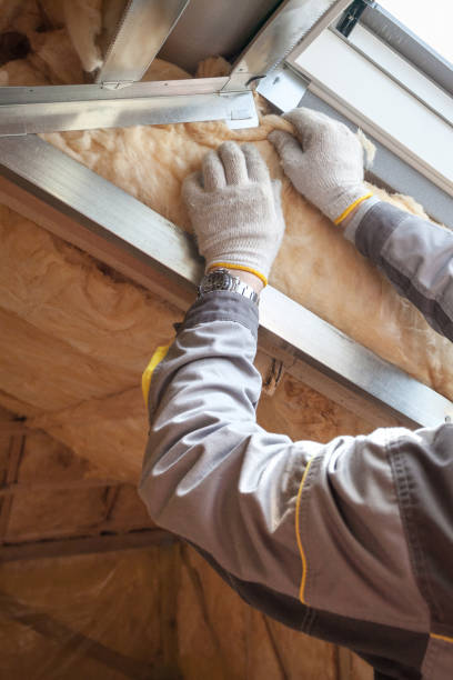 Best Insulation Maintenance and Repair in Morgan City, LA