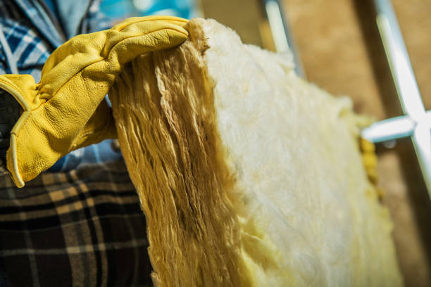 Best DIY Insulation Kits and Guidance in Morgan City, LA