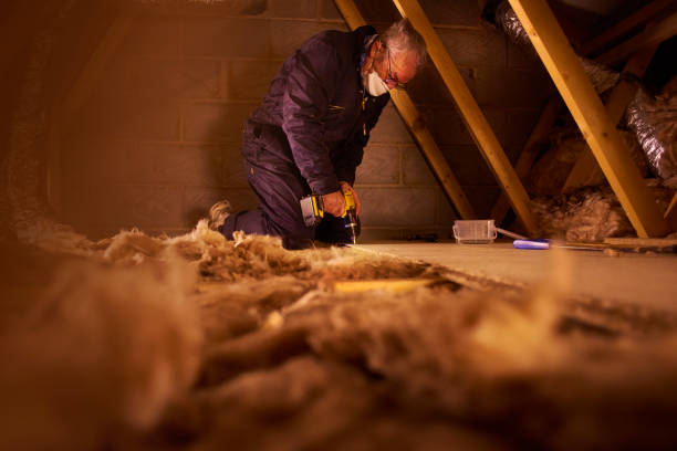 Best DIY Insulation Kits and Guidance in Morgan City, LA